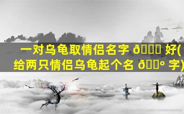 一对乌龟取情侣名字 🐈 好(给两只情侣乌龟起个名 🐺 字)